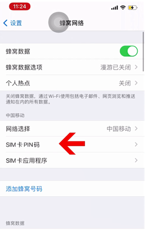 碧江苹果14维修网分享如何给iPhone14的SIM卡设置密码 