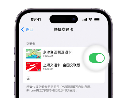 碧江apple维修点分享iPhone上更换Apple Pay快捷交通卡手绘卡面 