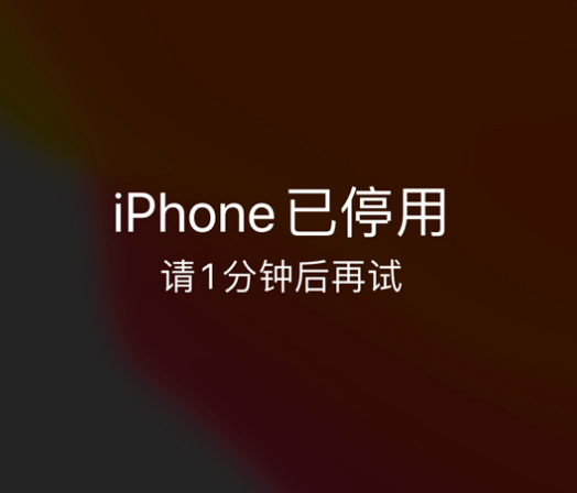 碧江苹果手机维修分享:iPhone 显示“不可用”或“已停用”怎么办？还能保留数据吗？ 