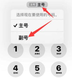 碧江苹果14维修店分享iPhone 14 Pro Max使用副卡打电话的方法 