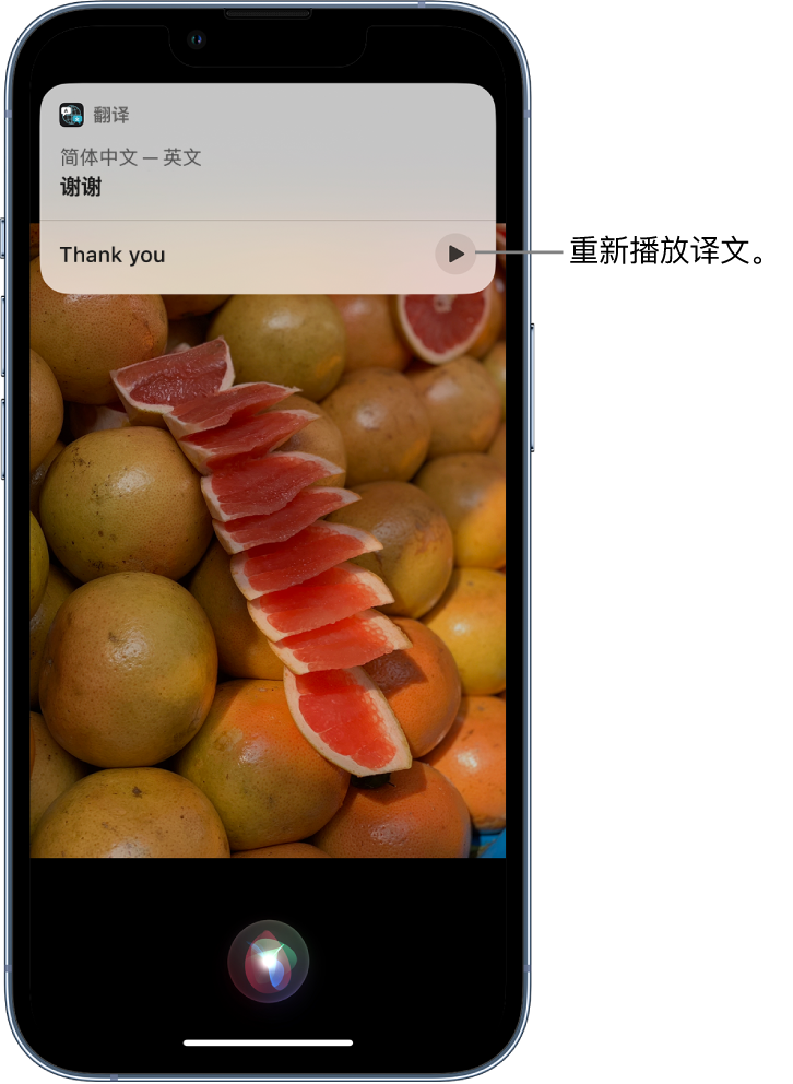 碧江苹果14维修分享 iPhone 14 机型中使用 Siri：了解 Siri 能帮你做什么 