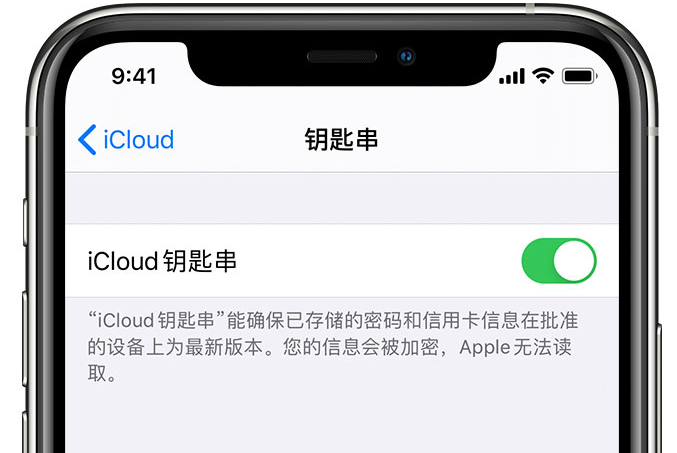 碧江苹果手机维修分享在 iPhone 上开启 iCloud 钥匙串之后会储存哪些信息 