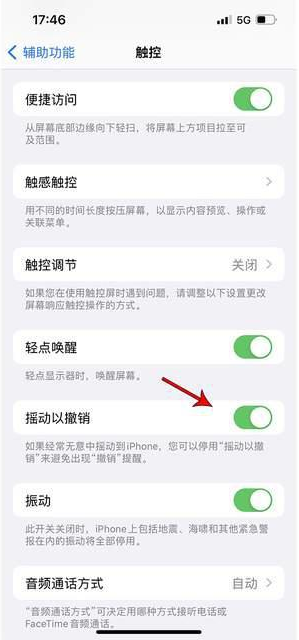 碧江苹果手机维修分享iPhone手机如何设置摇一摇删除文字 