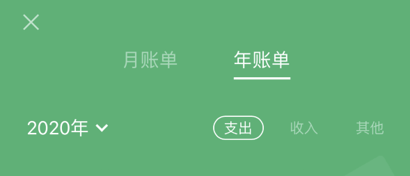 碧江苹果手机维修分享如何在 iPhone 上查看支付宝和微信年支出账单 